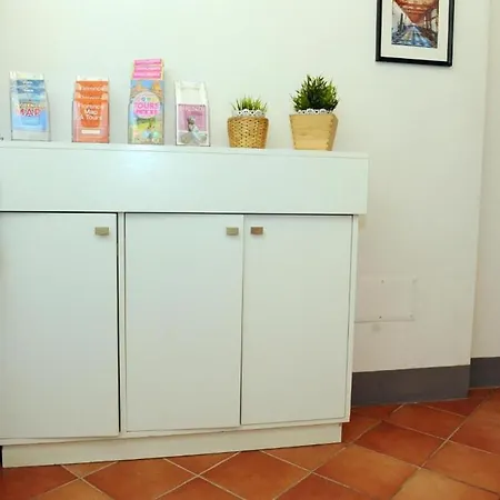 Condotta3rooms פירנצה